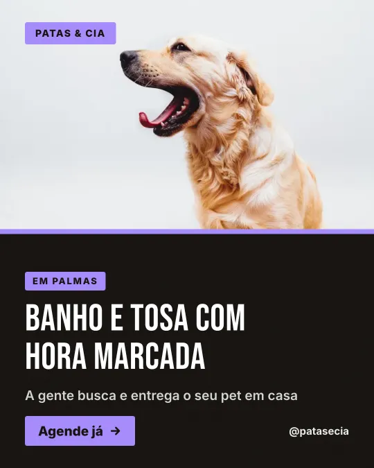 Pet shop: oferta de banho e tosa